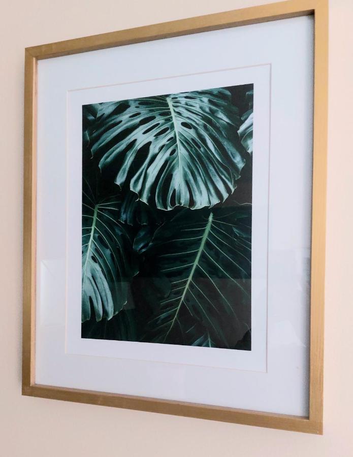 Les Belles Terrasses Dieppe ,3 Appartements , Le Vegetal De 1 A 8 Personnes , Le Tropical De 1 A 6 Personnes , Le Floral Avec Terrasse De 1 A 3 Personnes , Quartier Calme Au Stationnement Gratuit A Cote De L'Avenue Verte ภายนอก รูปภาพ